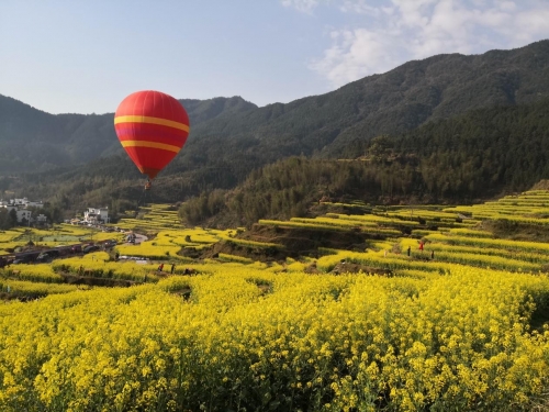 【党群园地】驻足本职提升素质关爱康健拥抱自然 ——集团工会组织全体女职工开展旅游运动